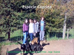 Espcie Caprina Catarina Rodrigues Helga Pissarra Joana Pires