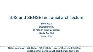 lib IS and SENSEI in transit architecture Silvio