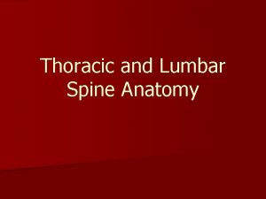 Thoracic and Lumbar Spine Anatomy Thoracic Vertebrae n