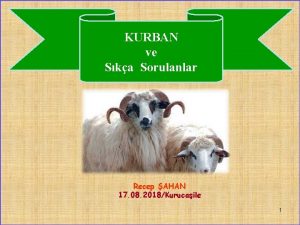 KURBAN ve Ska Sorulanlar Recep AHAN 17 08