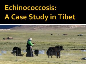 Echinococcosis A Case Study in Tibet Tibetan Culture