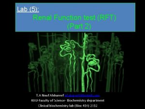 Lab 5 Renal Function test RFT Part 2