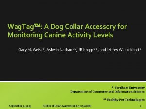 Wag Tag A Dog Collar Accessory for Monitoring