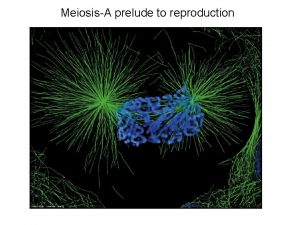 MeiosisA prelude to reproduction I Terminology A karyotype