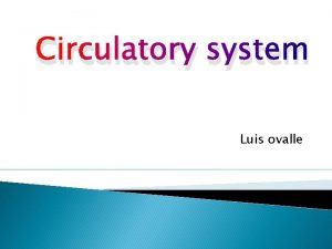 Circulatory system Luis ovalle Organs Involved in the