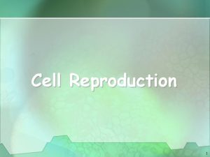 Cell Reproduction 1 Types of Cell Reproduction Asexual