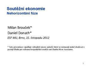 Soutn ekonomie Nehorizontn fze Milan Brouek Daniel Donath