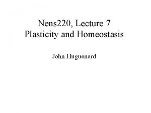 Nens 220 Lecture 7 Plasticity and Homeostasis John