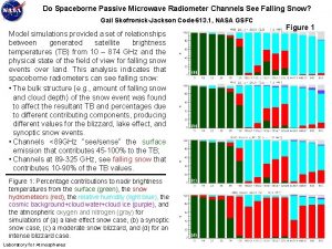 Do Spaceborne Passive Microwave Radiometer Channels See Falling