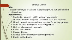 Embryo Culture Aim To isolate embryos of Arachis