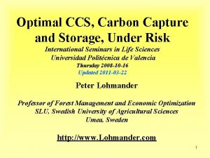 Optimal CCS Carbon Capture and Storage Under Risk