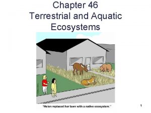 Chapter 46 Terrestrial and Aquatic Ecosystems 1 46