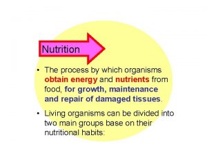 Nutrition The process by which organisms obtain energy