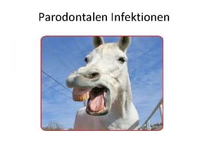 Parodontalen Infektionen Alptraum der Patienten Marginale Parodontitis Ursache