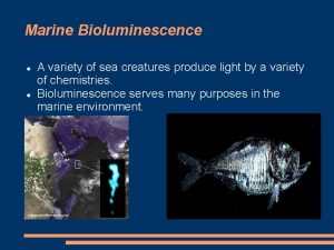 Marine Bioluminescence A variety of sea creatures produce