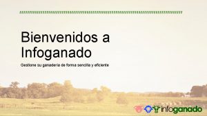 Bienvenidos a Infoganado Gestione su ganadera de forma