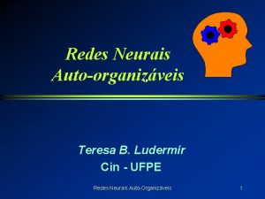Redes Neurais Autoorganizveis Teresa B Ludermir Cin UFPE
