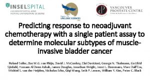 Predicting response to neoadjuvant chemotherapy with a single