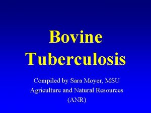 Bovine Tuberculosis Compiled by Sara Moyer MSU Agriculture