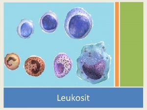 Leukosit Darah Terdiri dari Plasma Sel darah Eritrosit