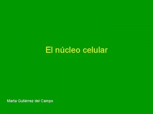 El ncleo celular Marta Gutirrez del Campo El
