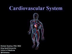 Cardiovascular System Khaleel Alyahya Ph D MEd King