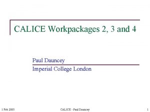 CALICE Workpackages 2 3 and 4 Paul Dauncey