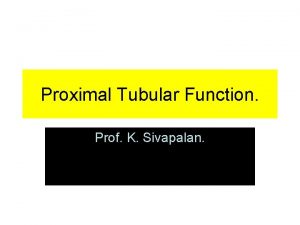 Proximal Tubular Function Prof K Sivapalan Proximal Convoluted