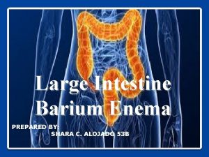 Large Intestine Barium Enema PREPARED BY SHARA C