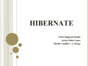 HIBERNATE Fbio Shiguemi Suzuki Jessica Hofer Lopez Mirella