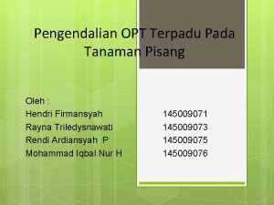 Pengendalian OPT Terpadu Pada Tanaman Pisang Oleh Hendri