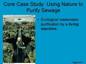 Core Case Study Using Nature to Purify Sewage