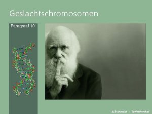 Geslachtschromosomen Paragraaf 10 B Bouwman Biologieweb nl Chromosomen