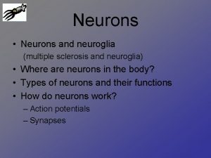 Neurons Neurons and neuroglia multiple sclerosis and neuroglia