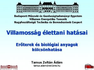 Budapesti Mszaki s Gazdasgtudomnyi Egyetem Villamos Energetika Tanszk