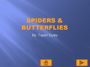 SPIDERS BUTTERFLIES By Taylor Duley Teachers Page Objectives