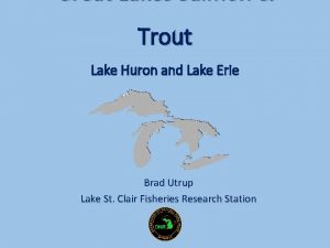 Great Lakes Salmon Trout Lake Huron and Lake