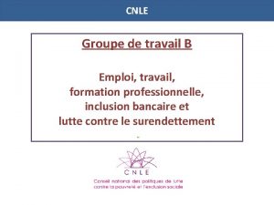 CNLE Groupe de travail B Emploi travail formation