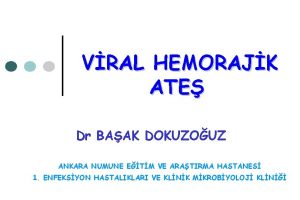 VRAL HEMORAJK ATE Dr BAAK DOKUZOUZ ANKARA NUMUNE