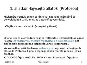 1 llatkr Egysejt llatok Protozoa Eukarita sejtjk ennek