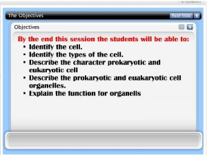 Prokaryotic Cell Plasma membrane Ribosomes Nucleoid Cell Wall