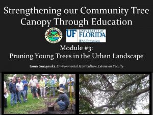 Strengthening our Community Tree Canopy Through Education Module