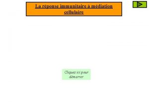 La rponse immunitaire mdiation cellulaire Cliquez ici pour