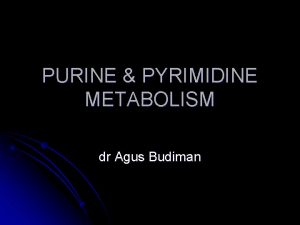 PURINE PYRIMIDINE METABOLISM dr Agus Budiman Nucleotide consists