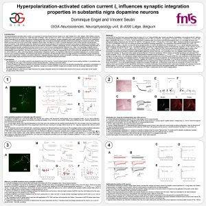 Hyperpolarizationactivated cation current Ih influences synaptic integration properties