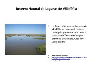 Reserva Natural de Lagunas de Villaffila La Reserva