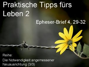 Praktische Tipps frs Leben 2 EpheserBrief 4 29