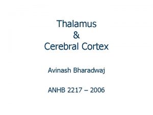 Thalamus Cerebral Cortex Avinash Bharadwaj ANHB 2217 2006