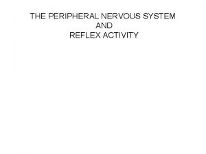 THE PERIPHERAL NERVOUS SYSTEM AND REFLEX ACTIVITY THE