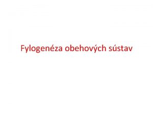 Fylogenza obehovch sstav Obehov sstavy rozvdzaj iviny po